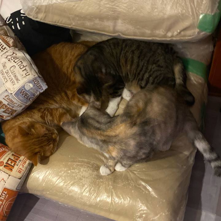 D4422ba3 e393 4bfd ac4c d706d366476e 1639333509173