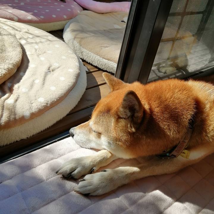 D442793a 0b70 4214 ba55 2f7f6c380fe9 1604452968850