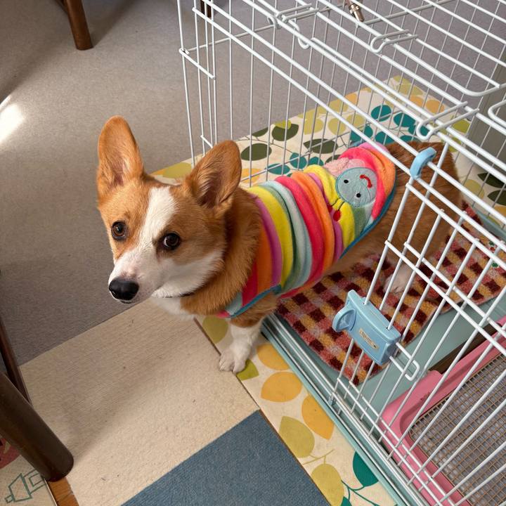 D4427e51 a1e7 4bd5 8315 5ee8b1ebb162 1773278536940