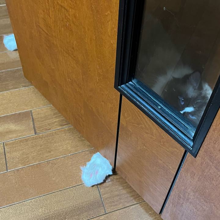 D44287c8 ff14 4536 be43 c0297d60bc32 1724847856928