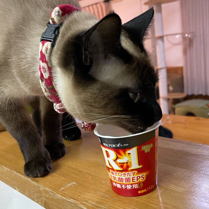 D4429b84 d907 4f50 8759 f4b524e0b1ad 1740351683177