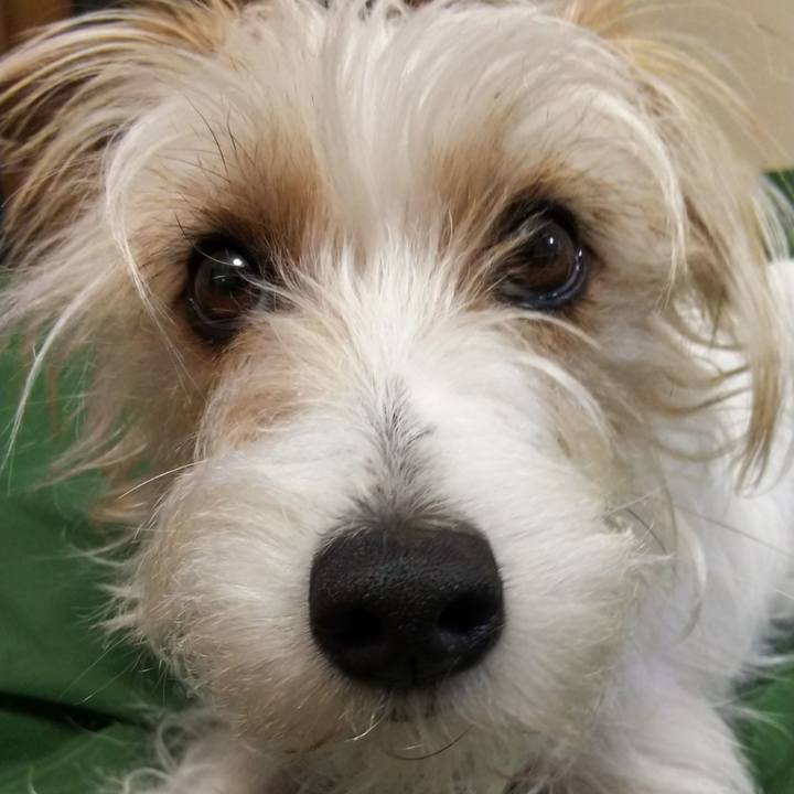 D442b7e0 3f64 47e5 bc2f 08c9cdac664b 1523544081566