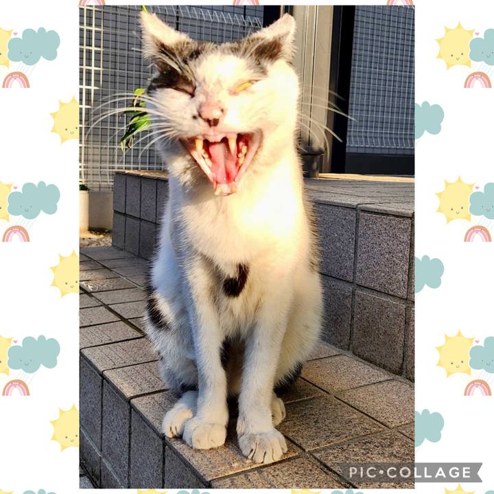 D442bea6 b9b4 4961 9ea6 ec590e1951b8 1759739759874