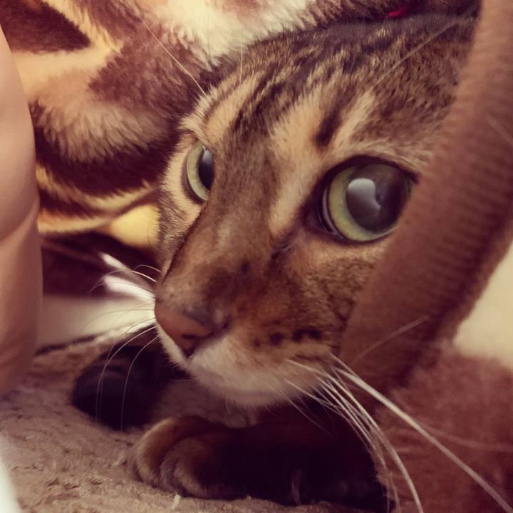 D442c26c 2582 4d12 ac63 e02114ae27bd 1574467907967