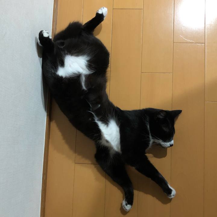 D442e564 14b4 4e11 9994 dd124f12f903 1567395669426