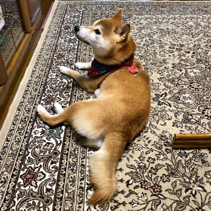 D442fb56 811c 4cf7 9e74 7d73364d1823 1536754862233