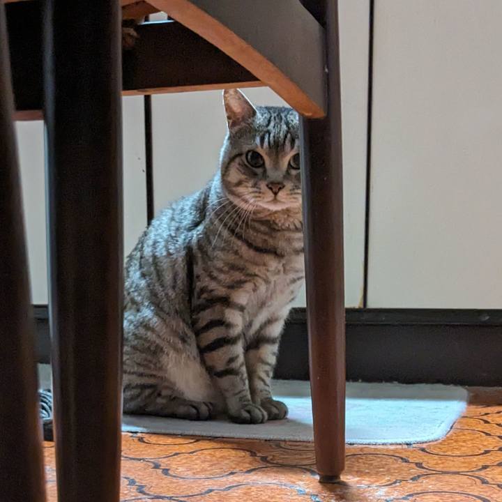 D4430e51 3751 45d1 8c6d 09e45c30f884 1706180487739