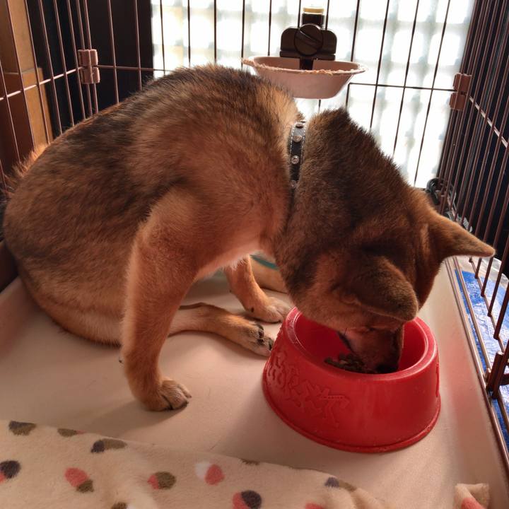 D4433540 0c57 45d8 84f8 00a85db96304 1524092495818