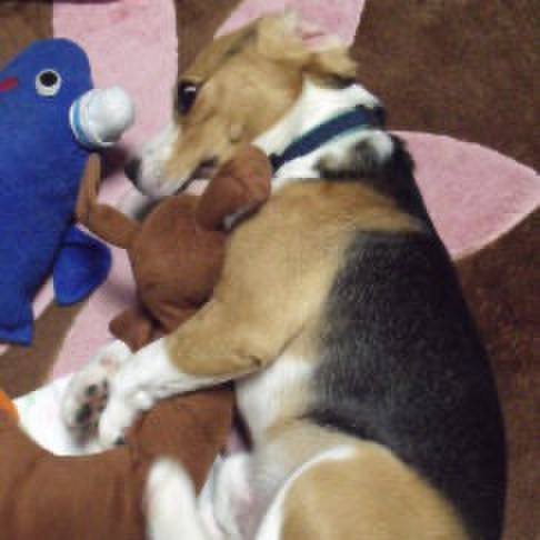 D4433984 26c2 4541 88db def174fdcdf4 1710200339672