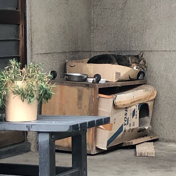 D44352ca 775c 4aee bc01 e7e07947108f 1572728847059