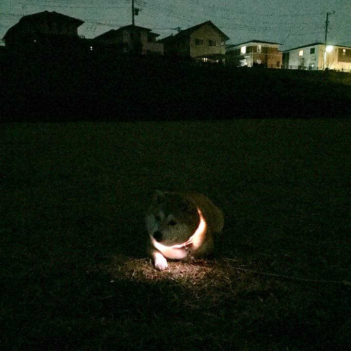 D4437e19 7038 4db2 9ebc 14e490d0e795 1572769368199