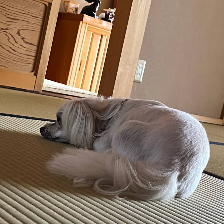 D444215f bbc3 47b7 a643 474b6509e389 1690096737768