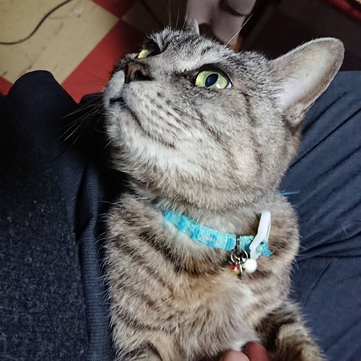 D4444304 5bc3 4625 a2b6 79dbb3fc061c 1551432022441