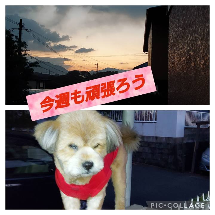 D4449d6a 4358 4097 a601 0a91ec0b2692 1643581257932