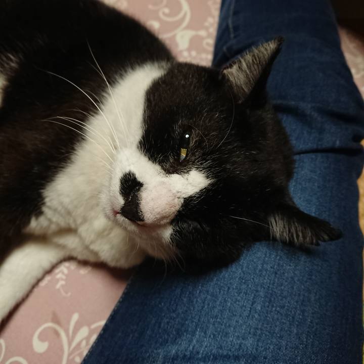 D444a63c e731 480e b2eb 463de8ea3407 1635756511200