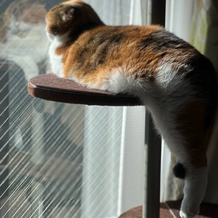 D4451311 5ed9 4d12 9c51 3ee6c71fb04a 1640481270985