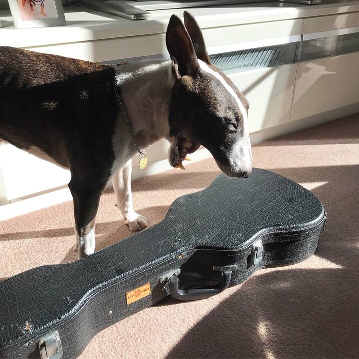 D4457ea2 d8d3 428a 8a5a 5f6d9f2c4304 1515820437167