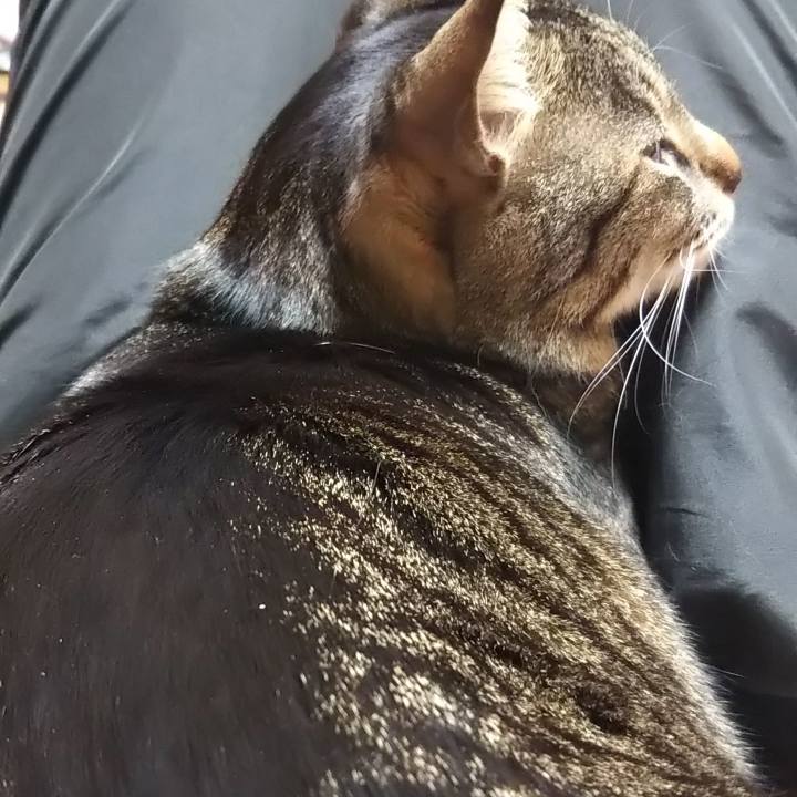 D4459f67 3ba8 4122 a623 c3d77684dbfd 1616146204344