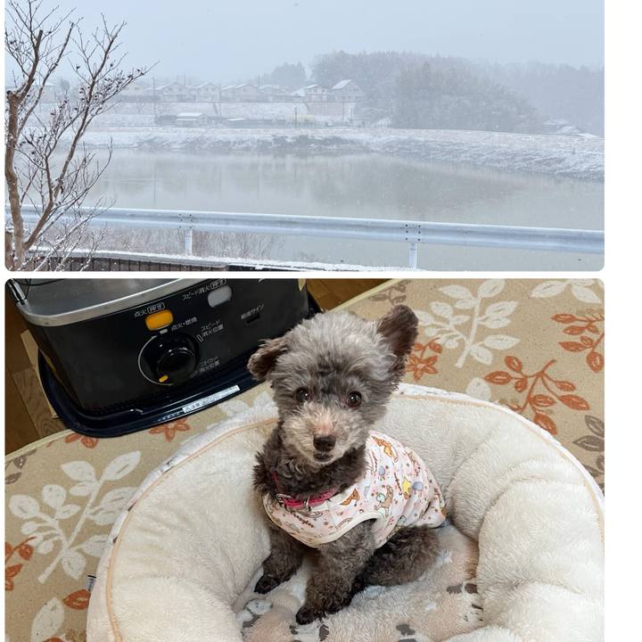 D445a7e4 c1e1 4afe b38c 601a40cc4f2a 1739000033277