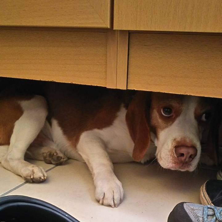 D445b0b4 9677 477a 9b40 505668716d2b 1613287271639