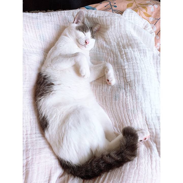 D44634ec 9896 4f6d b521 401972221d82 1648801577972