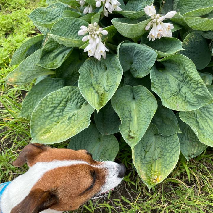 D4464ded ec30 4868 9c14 94b1aed08886 1625226015497