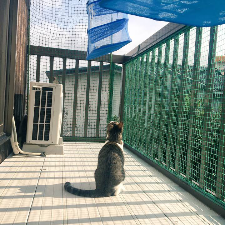 D4469115 a039 43e5 a361 09ad881202ed 1507680118599