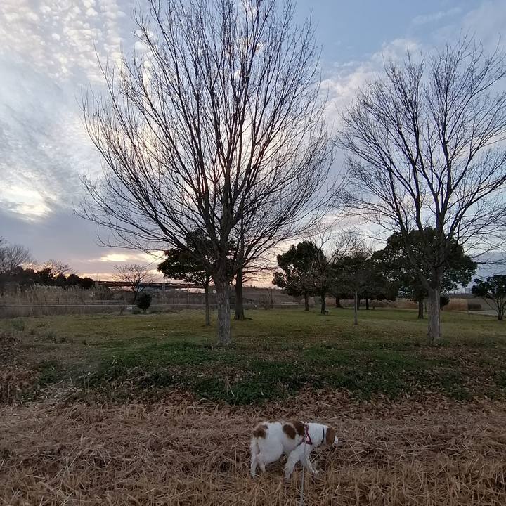 D446d17c ec4e 4a7b b739 7ac6b2ad9528 1579856558211