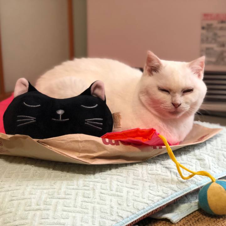 D446ebc6 c19f 4144 962b bb25d455b9a0 1534148962932