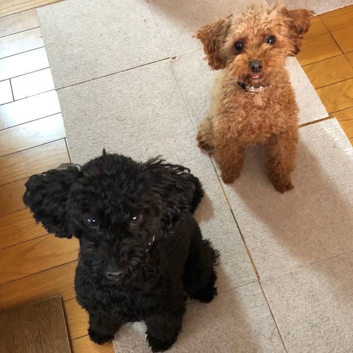 D4472708 fea0 4bca a562 d8454935bc28 1541111042978