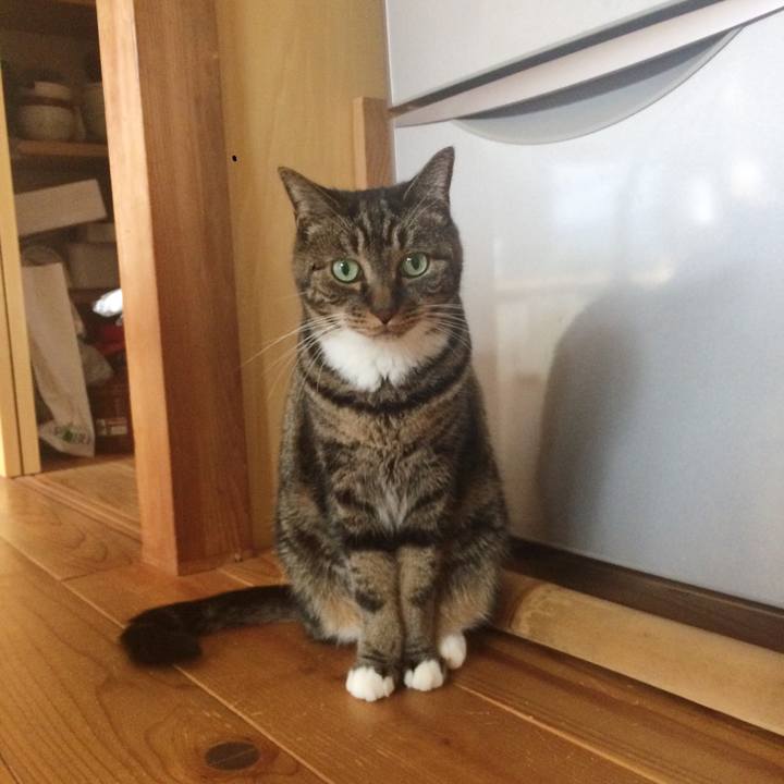 D447f2e8 f1d7 4fe0 902a 669768ec18c3 1509752198317