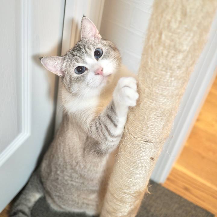 D447f4aa 8ced 4121 83df c498d15d0a1c 1729049626529