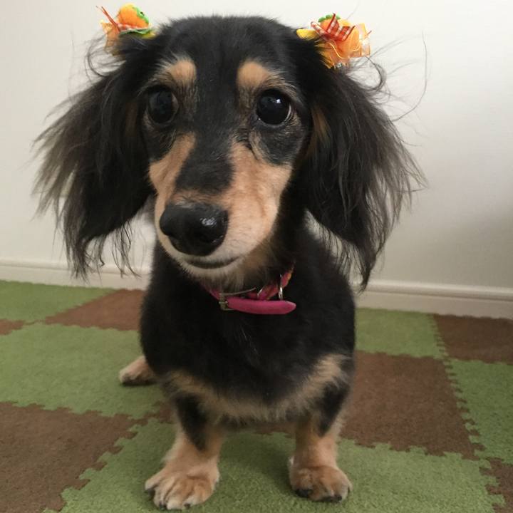 D4480b4e a545 4a41 97b5 b3106c1a6410 1542082585143