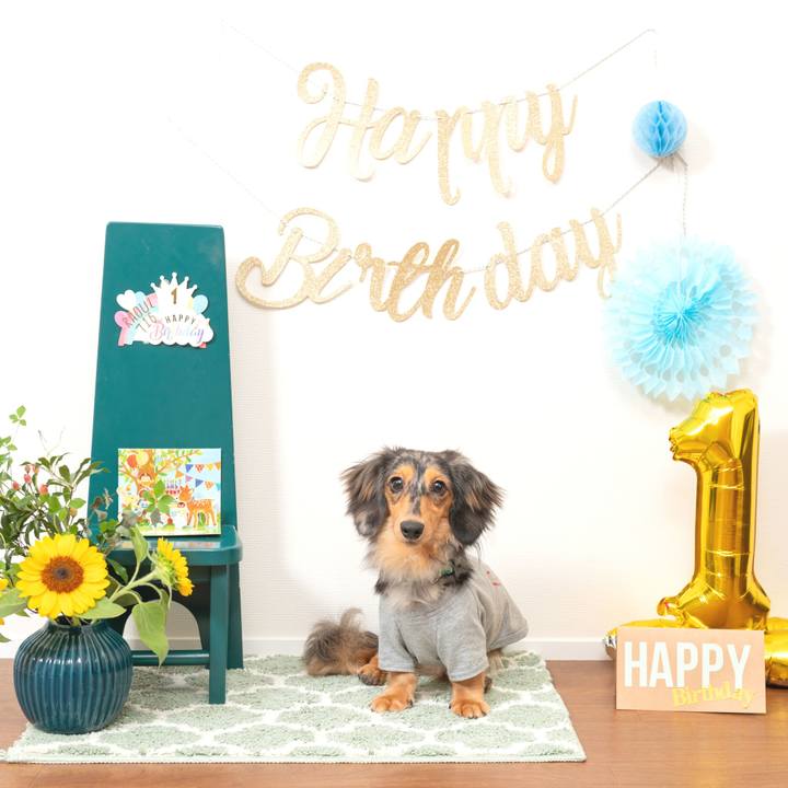 D4480c82 3732 43f7 b590 f14c8d0618f8 1721188727231