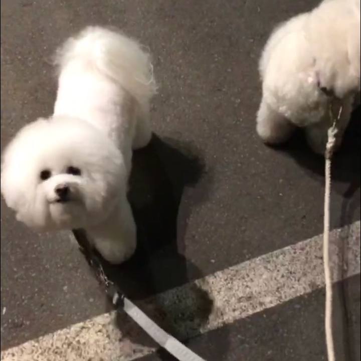 D4481647 c3de 4183 9823 e3f616b26766 1515160874913