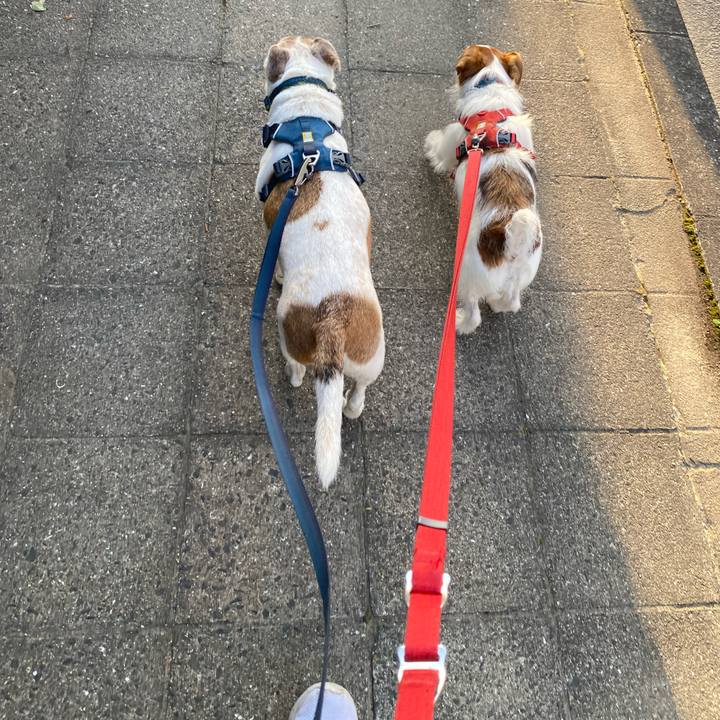 D4482d4e f196 44ac 8a70 ed2741b77692 1683666625681