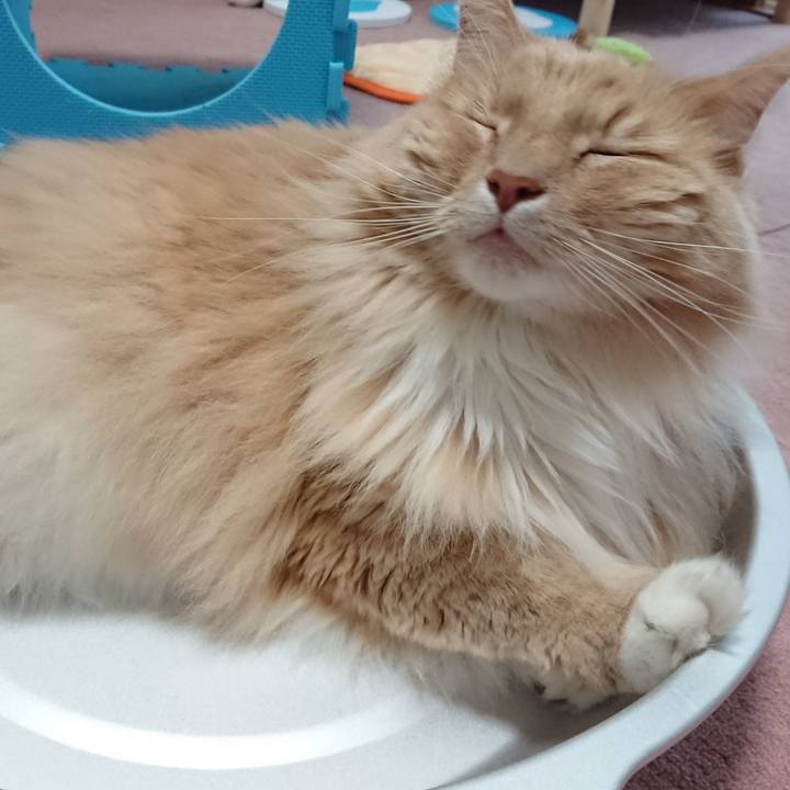 D448ac49 5c90 45b5 bf6f b911452caaa1 1558602435047