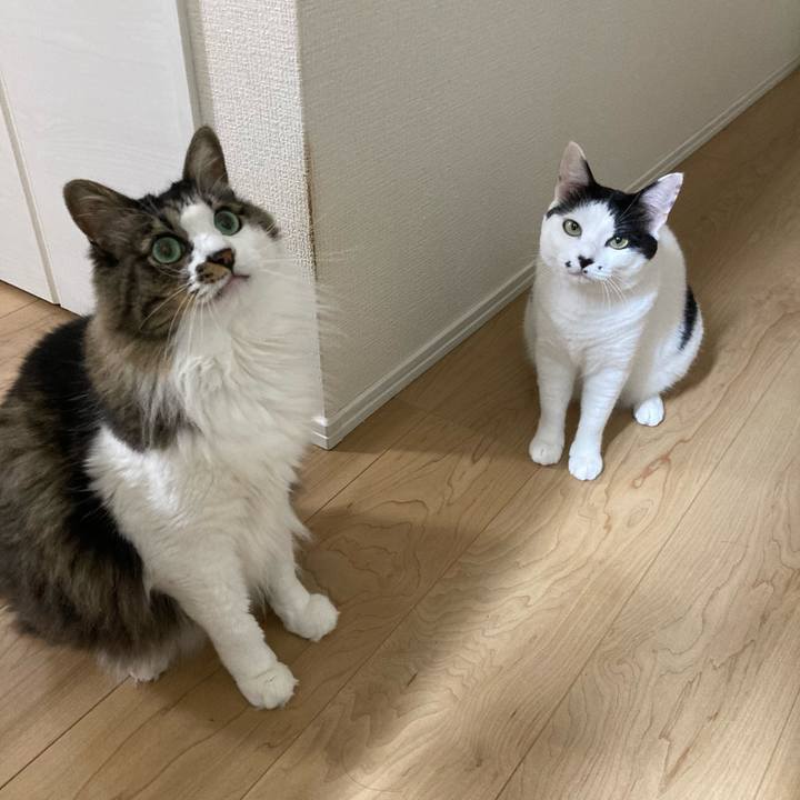 D448fc39 89a0 418f b1fb 3189ca7f1453 1757710402763