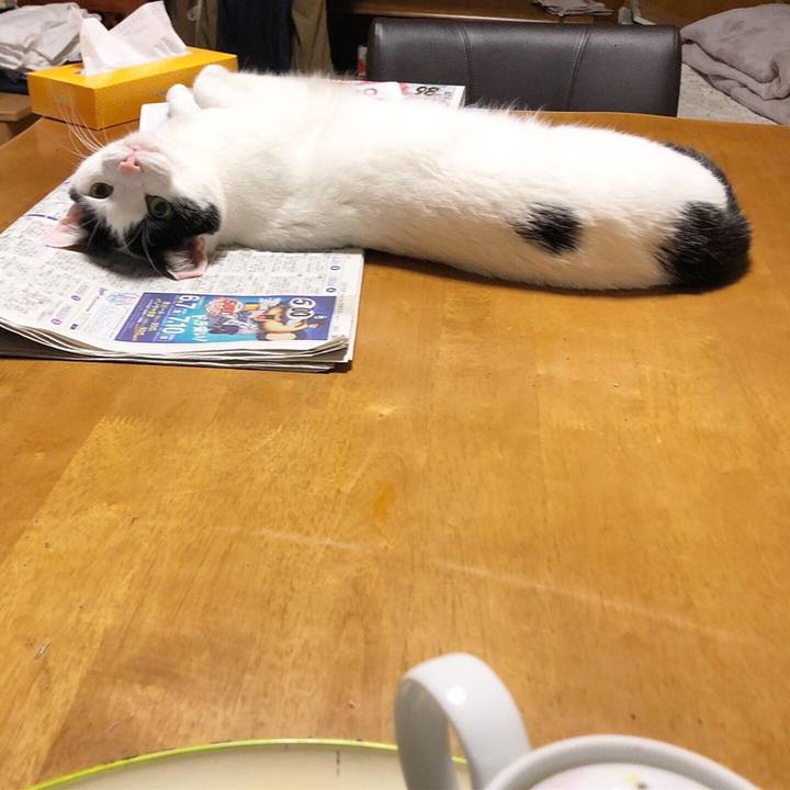 D44958ad 7c1d 4bde 96bd 2d25491abaa8 1558620324034