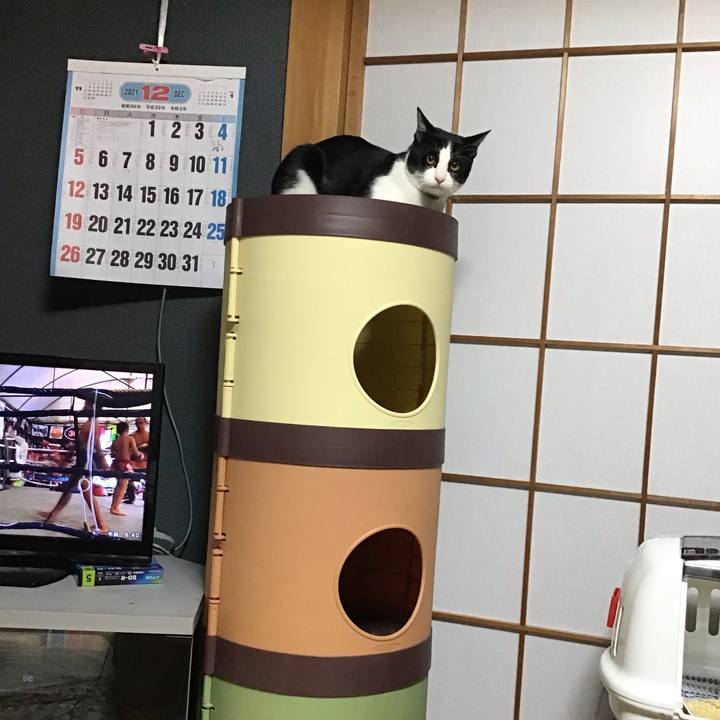 D44965dd 3fcc 400f 89e5 7af883bf5682 1639691216388