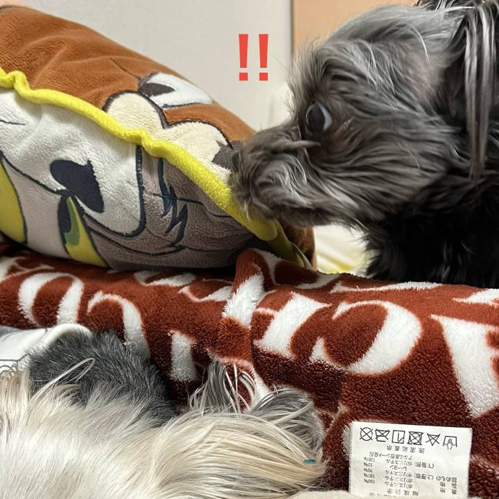 D449beb8 88d7 473a b097 d0e11935c93b 1773221703654