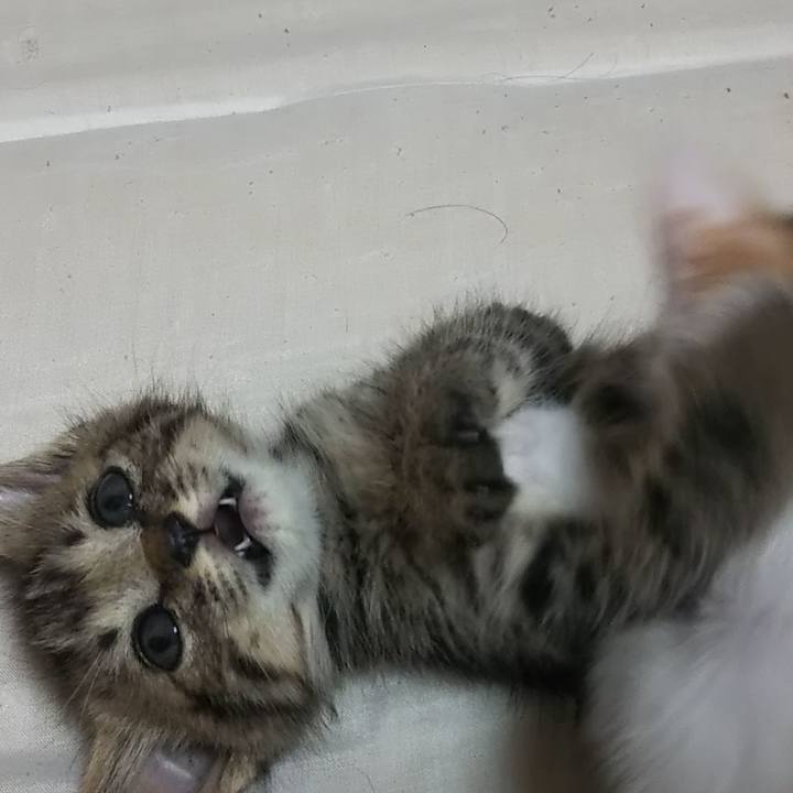 D449cb7f 010d 4ae8 b70c 5acf68b0384a 1632389001813