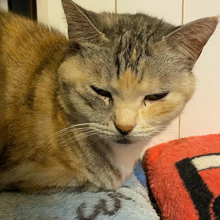 D449d4c6 6bef 424d b96e 849803fe94ae 1638218381333