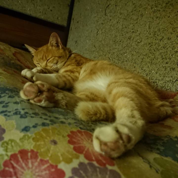 D44a19af 90c7 4c2b 907d dc4375812c41 1596112440715