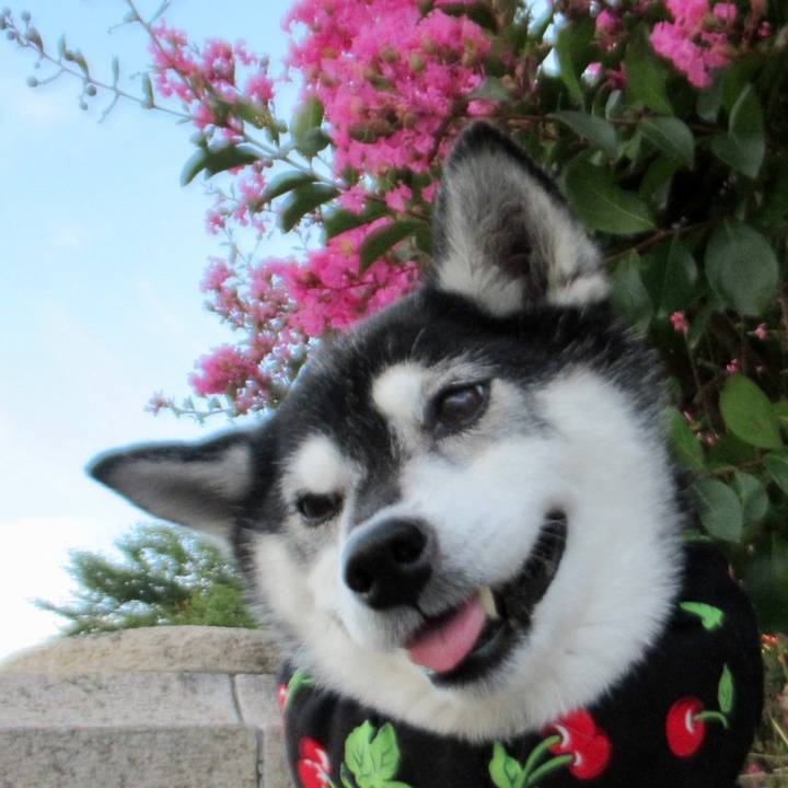 D44a2aab 5e94 4b7e ab7a b3f9d6cb24f6 1692074548707