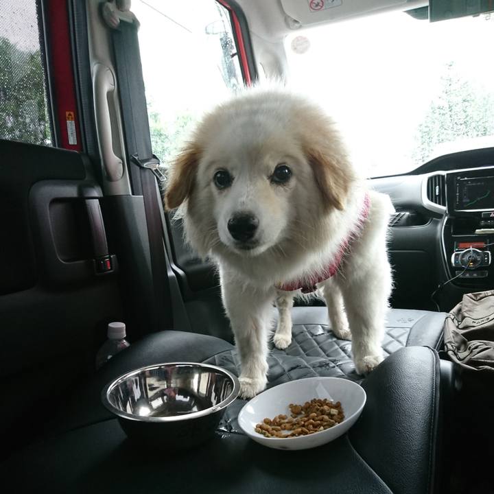 D44a3261 9f1b 4f00 8bfd 994df4f56d6a 1530665155743