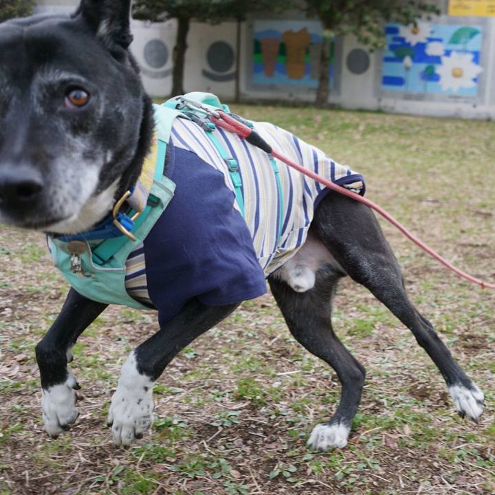 D44a8532 7206 4d00 a7ea 31547c812ddc 1773361435585