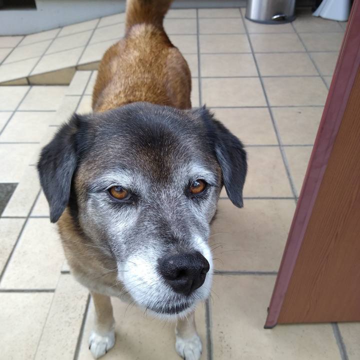 D44a9109 fcda 4270 a1fa a895aa495cb6 1557900718654