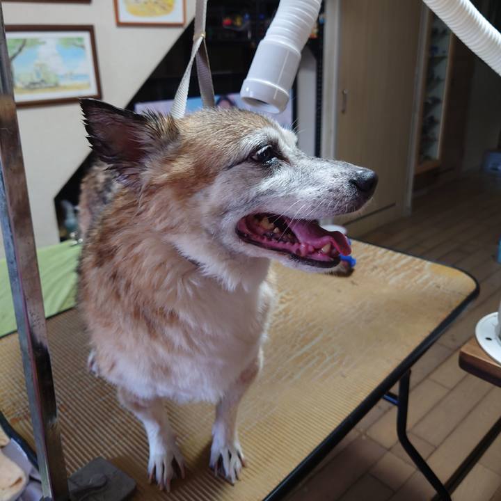 D44abe74 beae 4098 8605 ecf4f5161f70 1685860530332