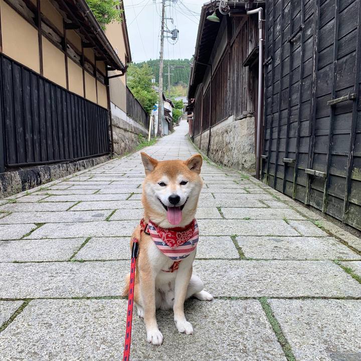 D44abf43 dde8 4867 af9c ed431ee8162c 1592385400566